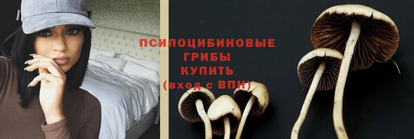 мдма Горнозаводск