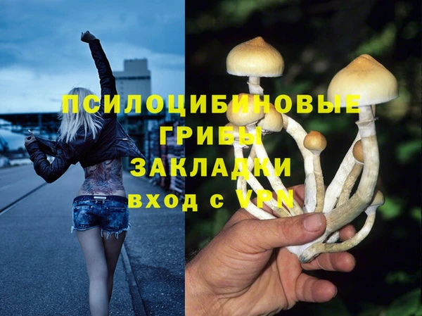 мдма Горнозаводск
